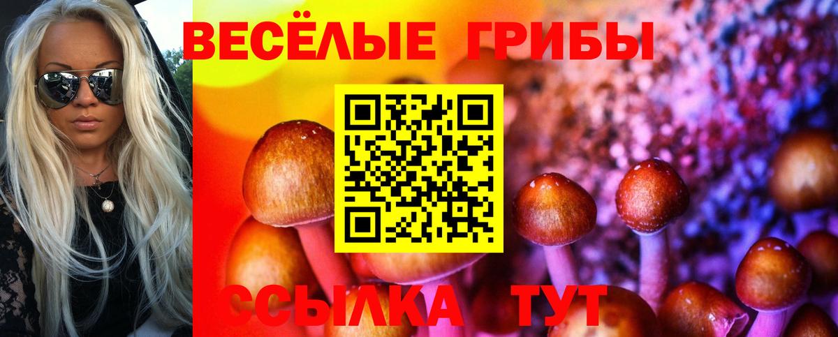 Псилоцибиновые грибы MAGIC MUSHROOMS  Вход с VPN  Гурьевск 
